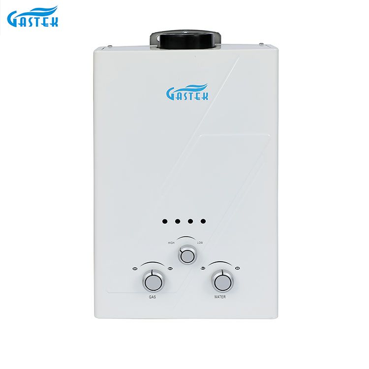Røgrør Type Vægmonteret 6L 10L 12L 16L 20L LPG Tankløs Instant Gas Geyser til bruser