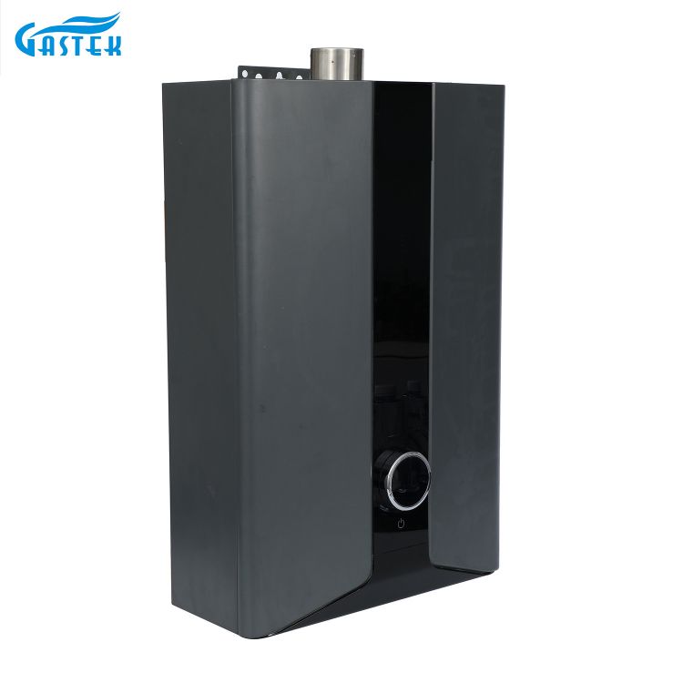 Elektricitet 220V 110V LCD -panel tvungen type konstant temperaturbrusegas Vandvarmer