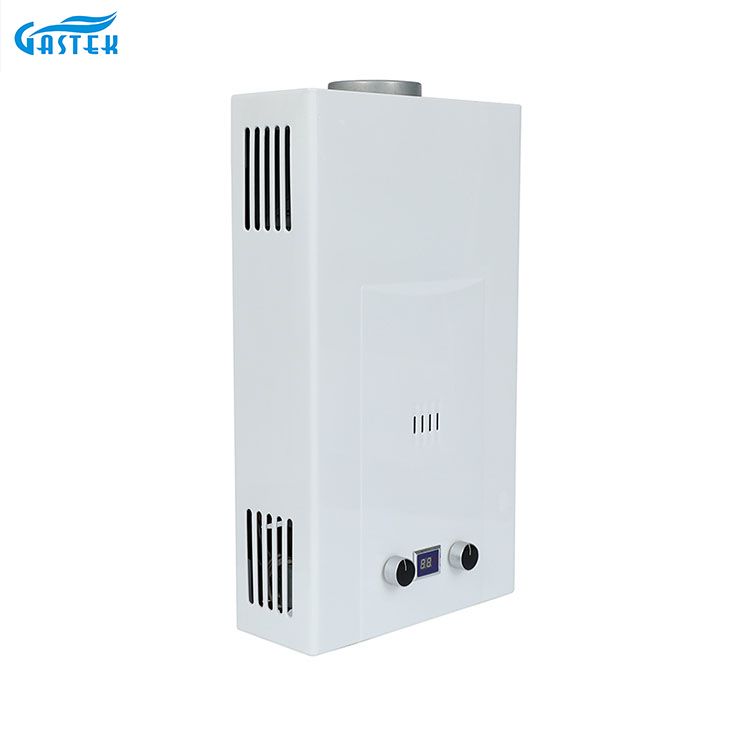 Røgstype god kvalitet 6L 8L 10L 12L 16L 18L 20L Tankless Instant LPG varmt vandbrusegas Geyser